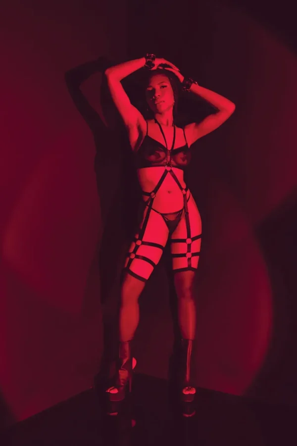 Let's Mesh Harness Leggings