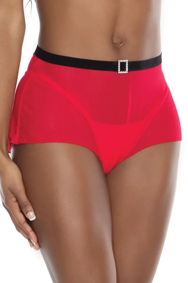 Mesh Magic Panty