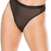 Sheer Temptation Panty