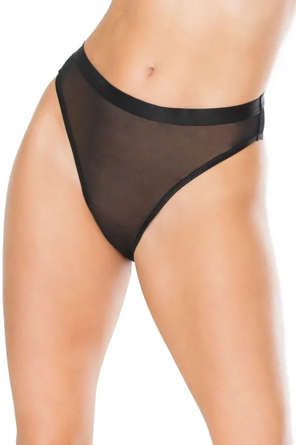 Sheer Temptation Panty