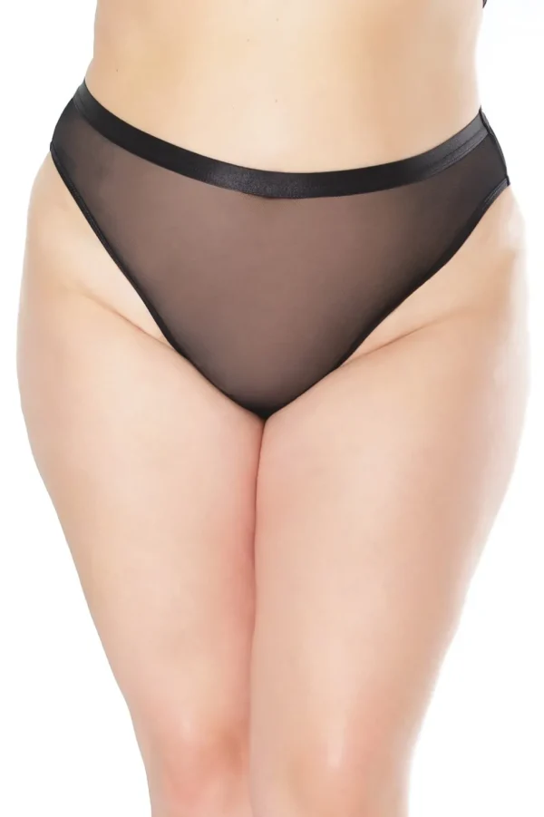 Sheer Temptation Panty