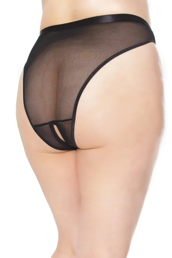 Sheer Temptation Panty