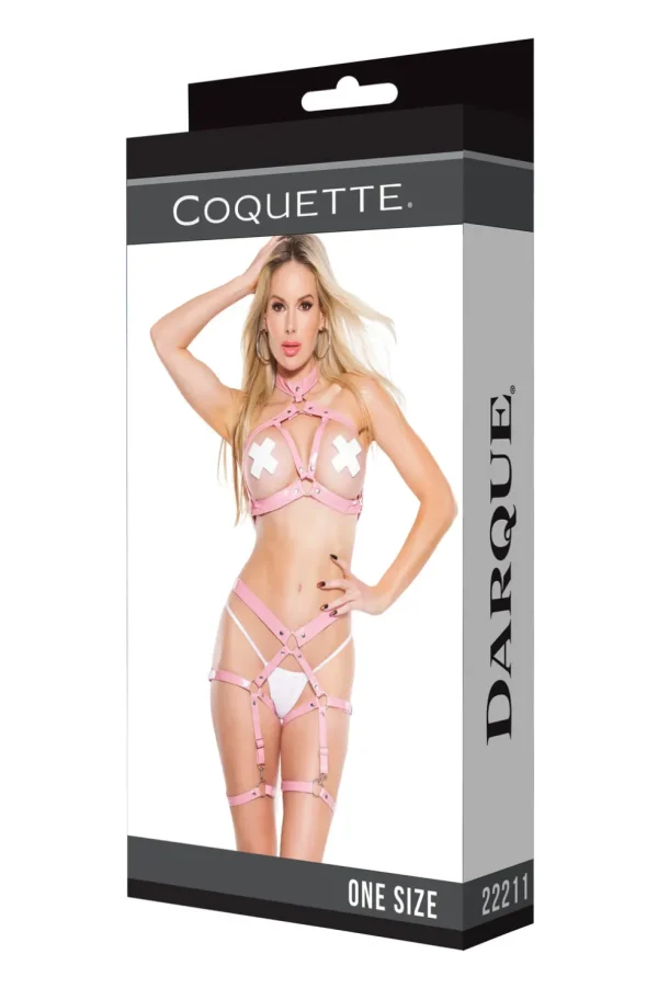 Sugar & Spice Harness Set