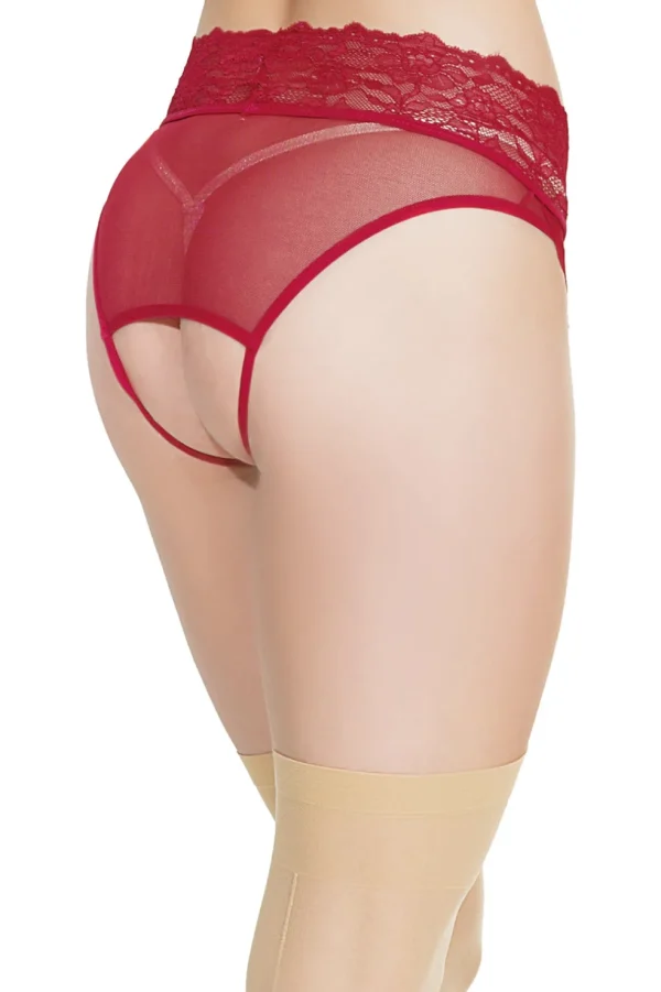 Tease Me Crotchless Gartered Panty