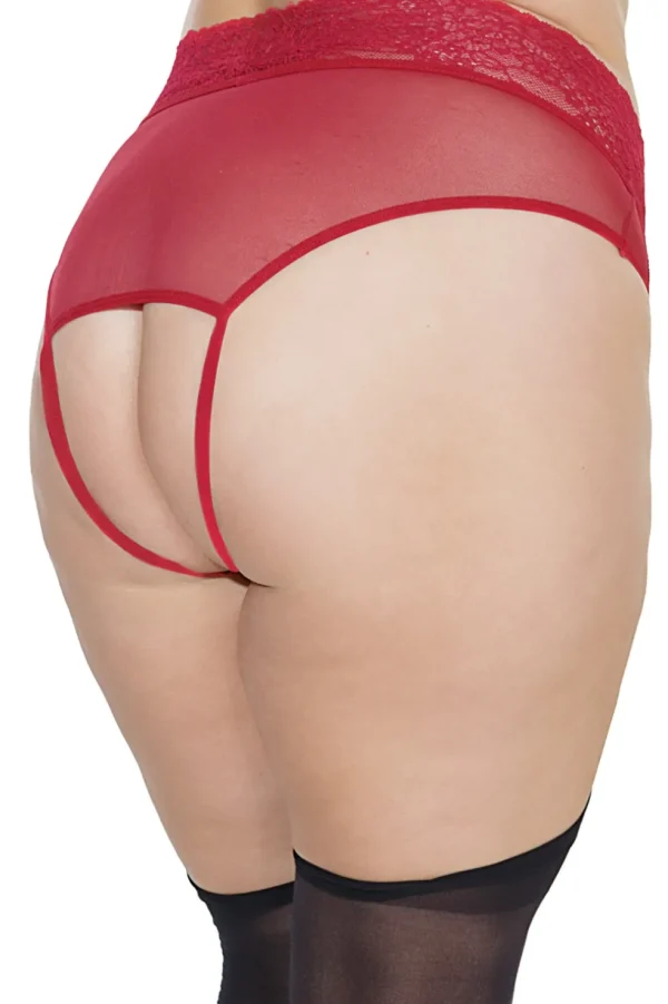 Tease Me Crotchless Gartered Panty