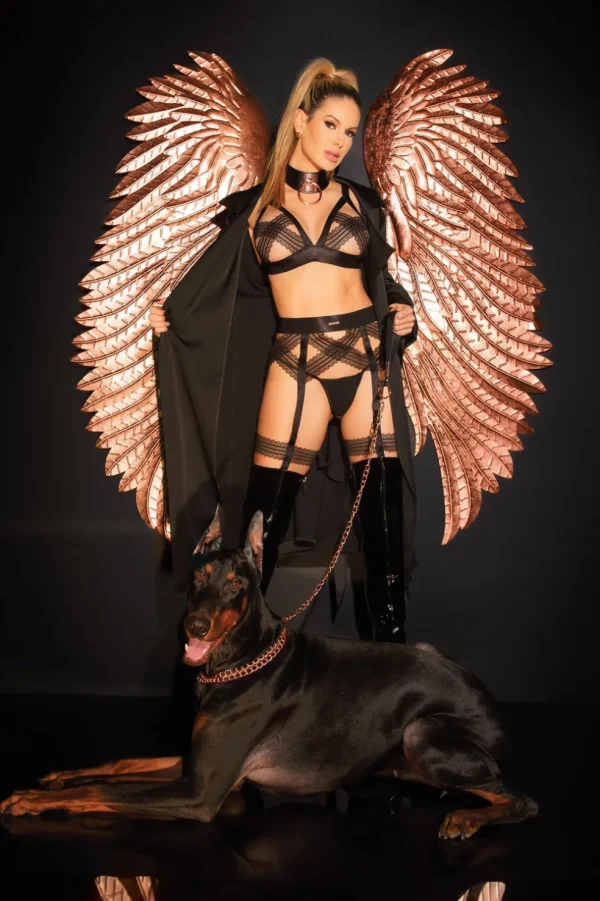 Total Eclipse Bralette & Leg Harness Set