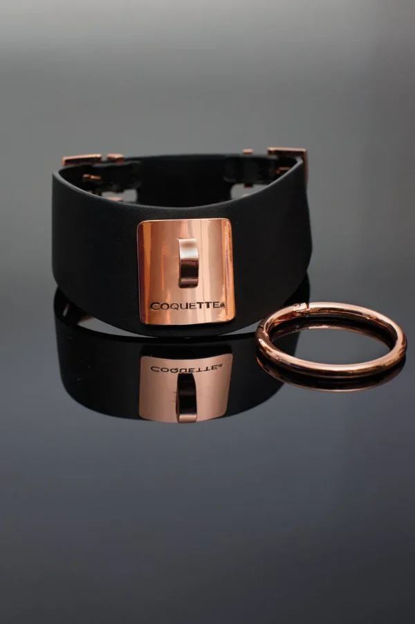 Vegan Leather Collar