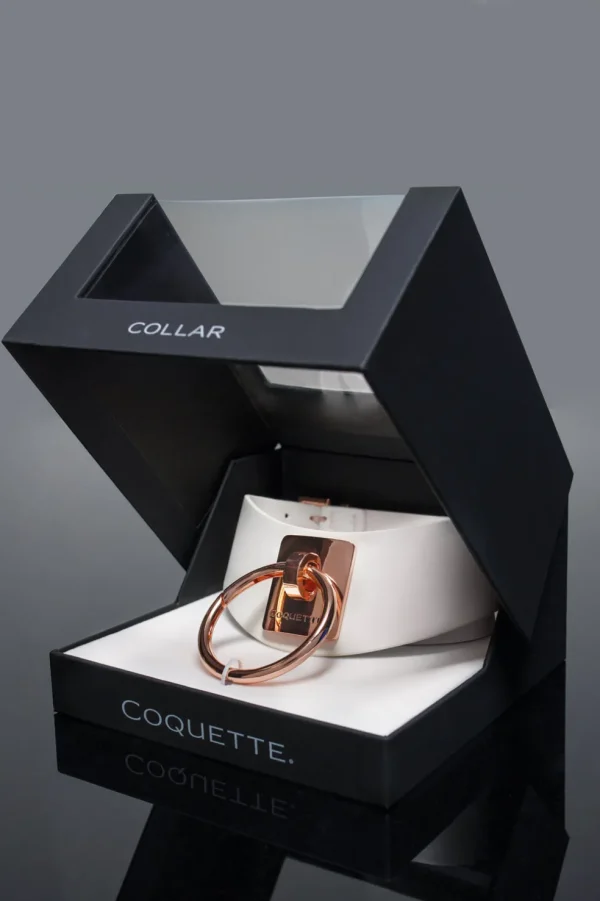 Vegan Leather Collar