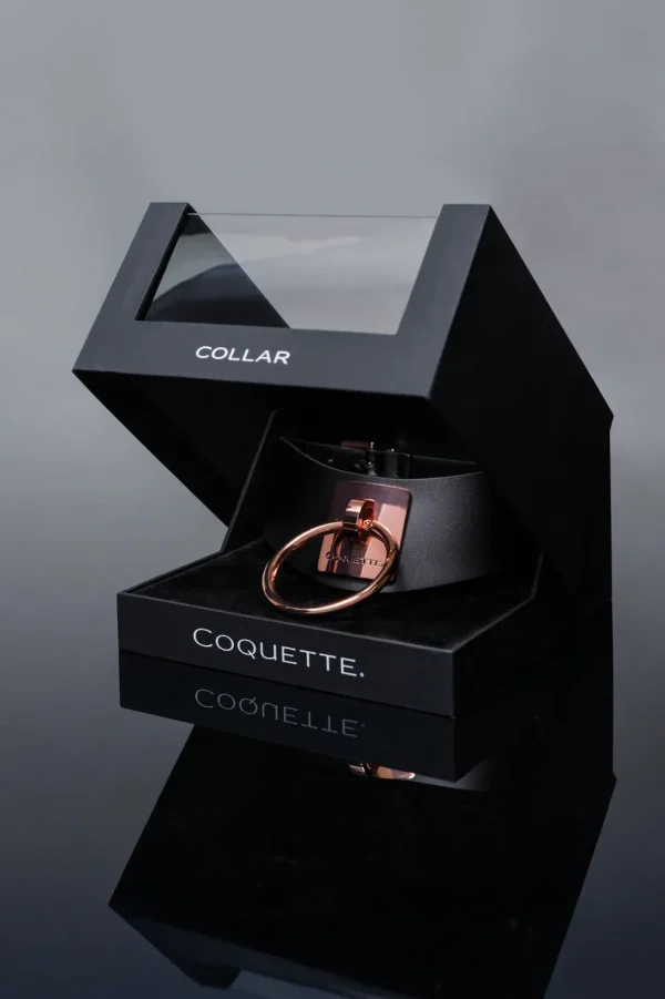 Vegan Leather Collar